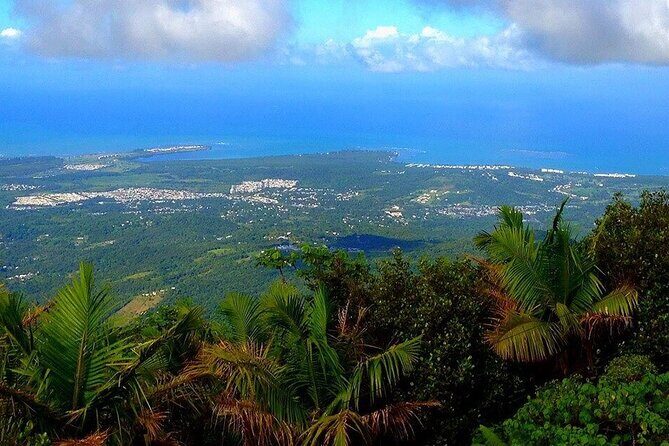 El Yunque Rainforest Guided Tour - Good To Know