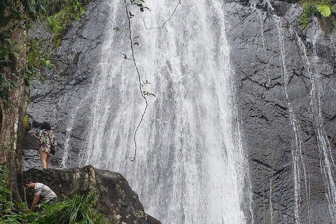 El Yunque Rainforest Guided Tour - A Closer Look at the El Yunque Rainforest Guided Tour