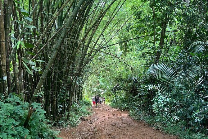 El Yunque Rainforest Hidden Waterpark Tour from San Juan - An Overview of the Tour Experience