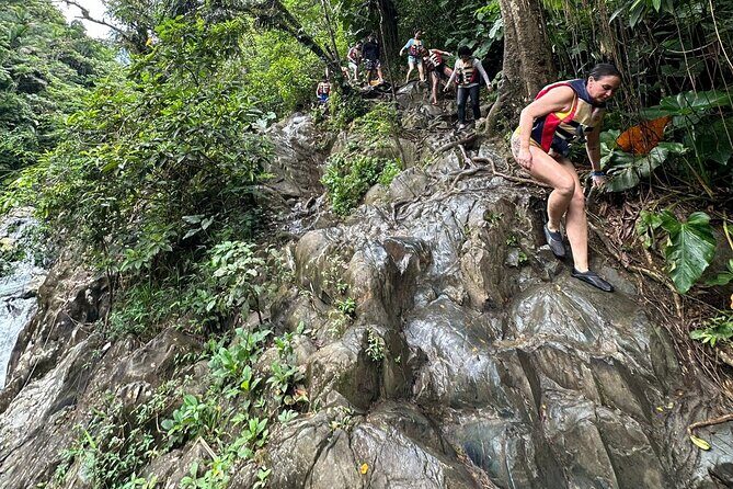 El Yunque Rainforest Hidden Waterpark Tour from San Juan - The Practical Details: What to Expect