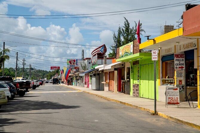 El Yunque Rainforest Hidden Waterpark Tour from San Juan - Authentic Insights & Traveler Tips