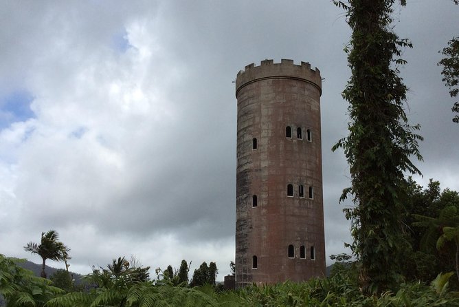 El Yunque Rainforest Hike - Hiking Trails in El Yunque