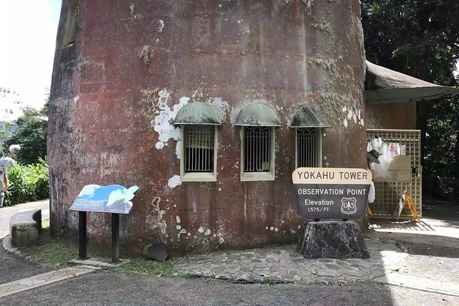El Yunque Rainforest Hike - Flora and Fauna of the Rainforest