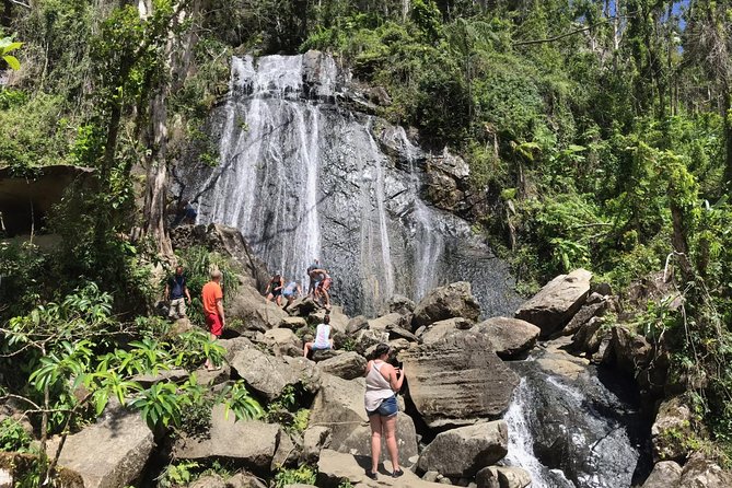 El Yunque Rainforest Hike - Wildlife Spotting and Birdwatching