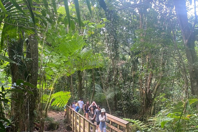 El Yunque Rainforest Hike - Importance of El Yunque for Puerto Rico