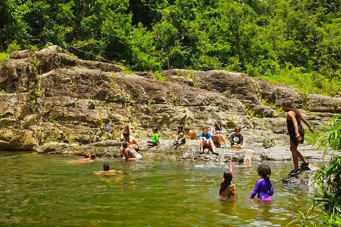 El Yunque Rainforest Hike, Natural Waterslide, Beach & Cuisine - Culinary Delights