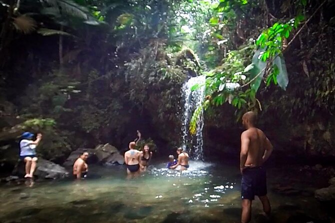 El Yunque Rainforest Hike, Natural Waterslide, Beach & Cuisine - Insider Tips for the Perfect Experience