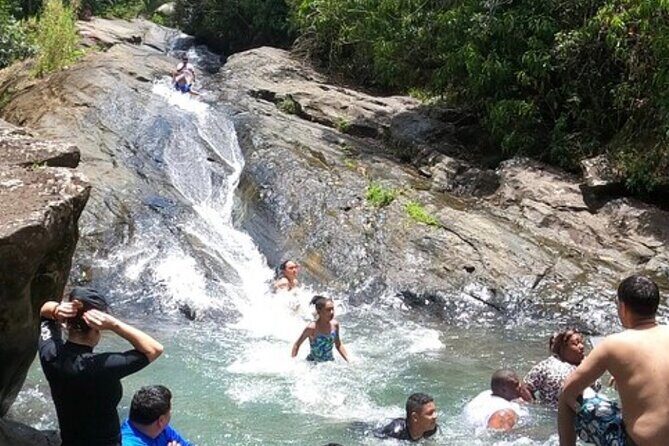 El Yunque Rainforest Party Tour with Waterslide and Rope Swinging - Who Will Love This Tour?