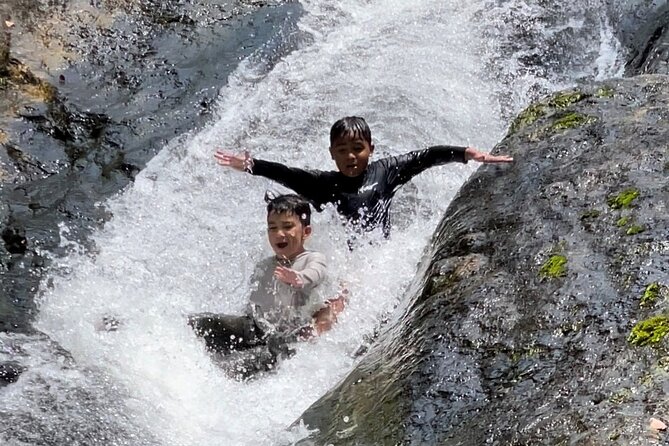 El Yunque Rainforest, Rivers, Waterslides & Beach Combo W/Transport Included - Plan Your Perfect Day Trip to El Yunque Rainforest