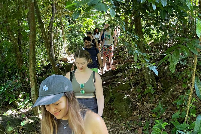 El Yunque Rainforest, Rivers, Waterslides & Beach Combo W/Transport Included - The Sum Up