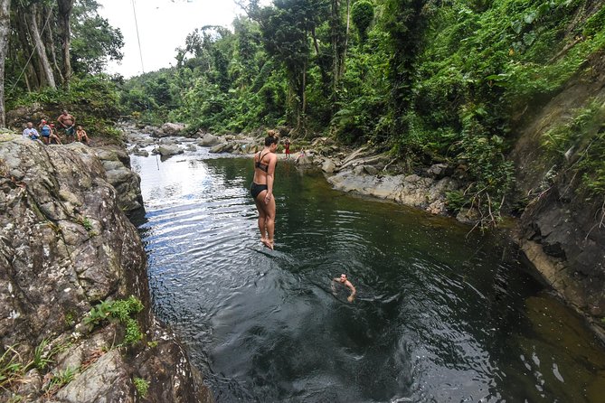 El Yunque Rainforest Tour From Fajardo - Common Questions