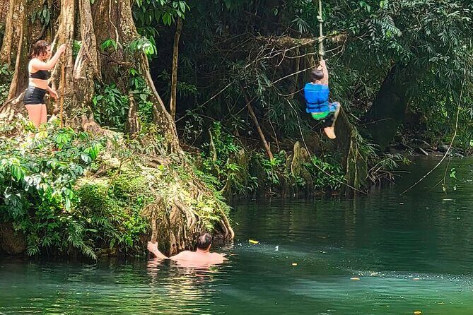 El Yunque Rainforest Tour Half Day Earlybird/ Small Groups - The Authentic Advantage: What Reviewers Love