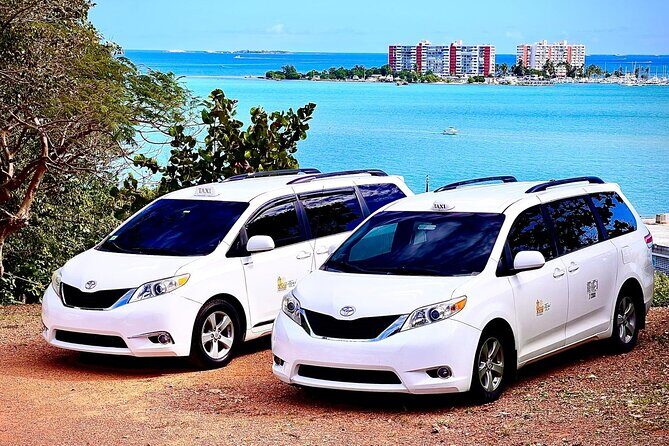 El Yunque Rainforest Waterslides and Luquillo Beach Tour - A Deep Dive into the Experience