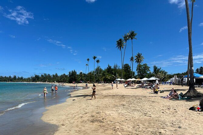 El Yunque Rainforest Waterslides and Luquillo Beach w/ Transport - The Sum Up