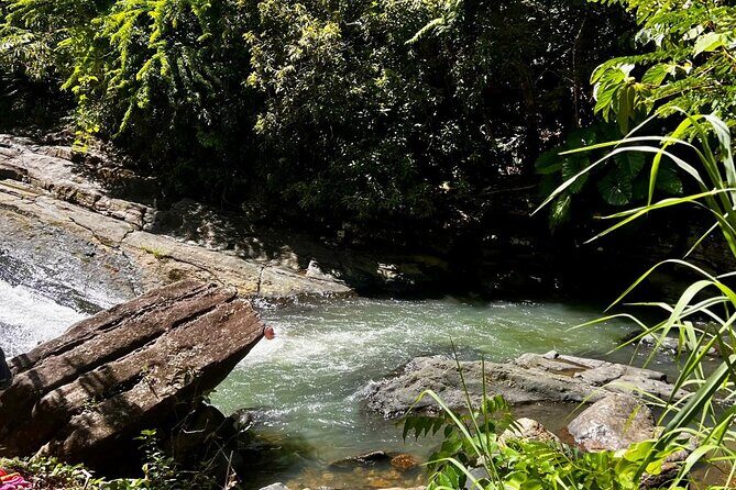 El Yunque Rainforest Waterslides Transport from San Juan - The Authenticity and Practicalities