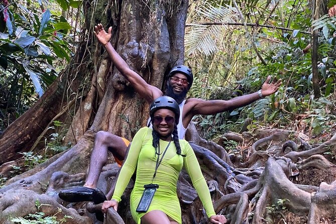 El Yunque Tour - 8am and 12pm / Transportation Included - Walking Conditions and Assistance Requirements