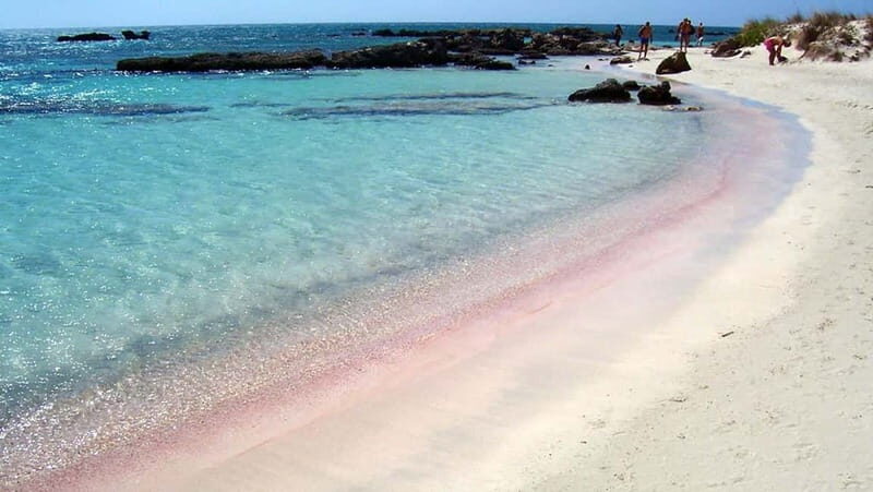 Elafonisi Bay - PINK COLOR SAND BEACH - Practical Tips for Visiting Elafonisi
