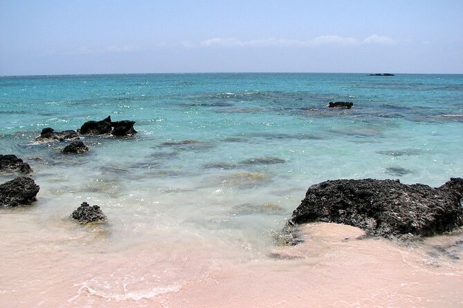 Elafonisi Full-Day Bus Tour  - Crete - Tour Highlights