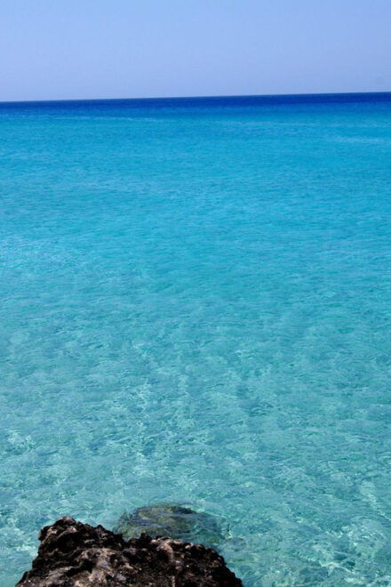 Elafonisi Road Trip - Be First at Beach! - Local Dining Experience