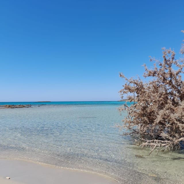 Elafonissi: Private Beach Day Trip With SUP - Customer Reviews and Experiences