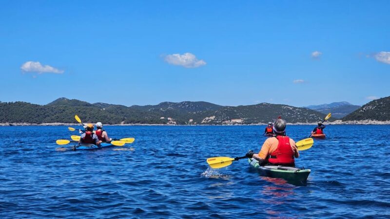 Elaphite Cave & Kayak Tour - Who Would Love This Tour?