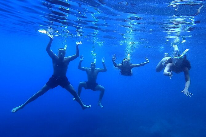 Elaphite Islands & Mljet - Private Boat Excursion From Dubrovnik - Inclusions and Exclusions