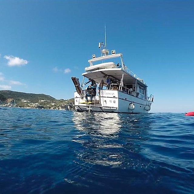 Elba Island: Boat Cruise - Private Group Experience Highlights