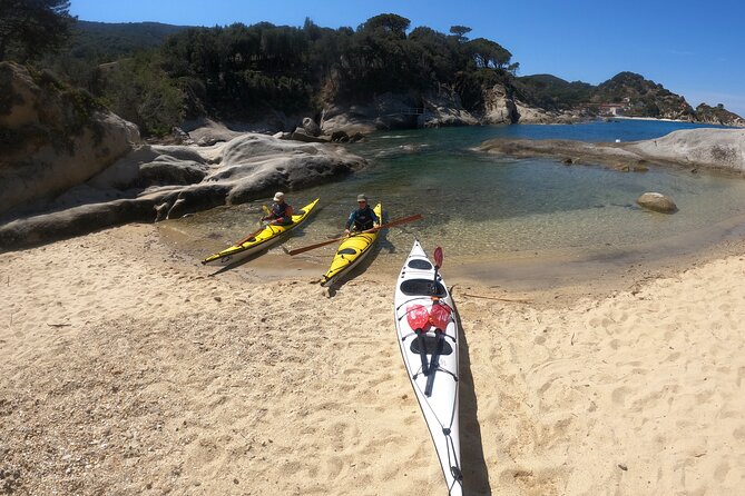 Elba Island Full Day Sea Kayak Tour - Overview and Experience
