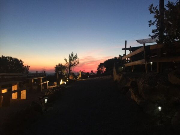 Elba: Tuscan Farmhouse Tasting - Cancellation Policy