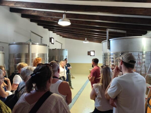 Elche: Oil & Wine Tasting With Local Food Tasting - Discovering Olive Oil Production