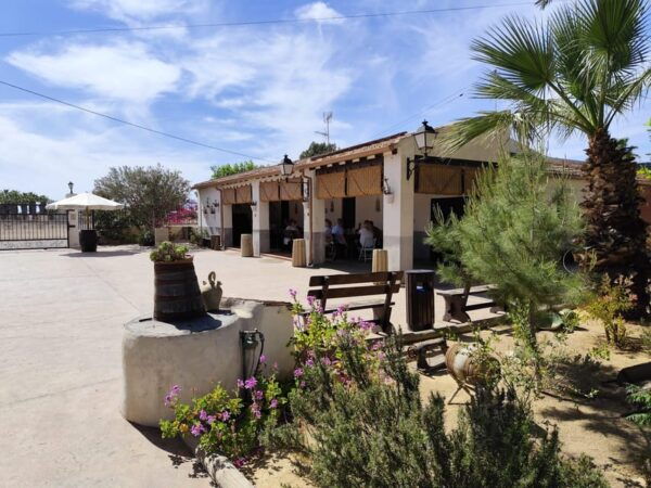 Elche: Oil & Wine Tasting With Local Food Tasting - Exploring the Winemaking Process
