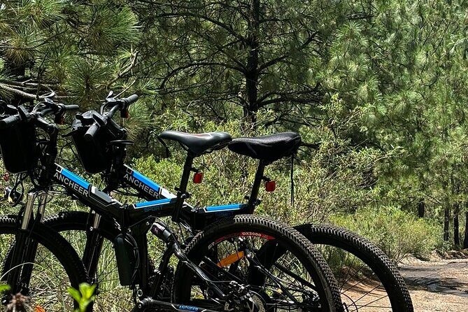 Electric Bicycle Activity in Izta Popo Park - The Sum Up