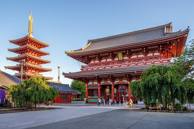 [Electric Bicycle Tour]: 6-Hour Travel Course by Electric Bicycle Asakusa, Ueno Park, Edo-Tokyo Muse - Tour Reviews and Ratings