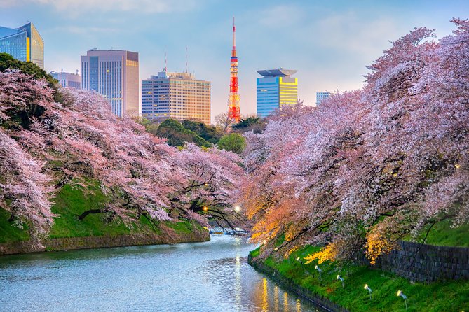 [Electric Bicycle Tour]: 6-Hour Travel Course by Electric Bicycle Asakusa, Ueno Park, Edo-Tokyo Muse - Additional Information