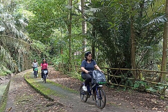 Electric Bicycle Tour in Quaint South Ubud - Tour Highlights