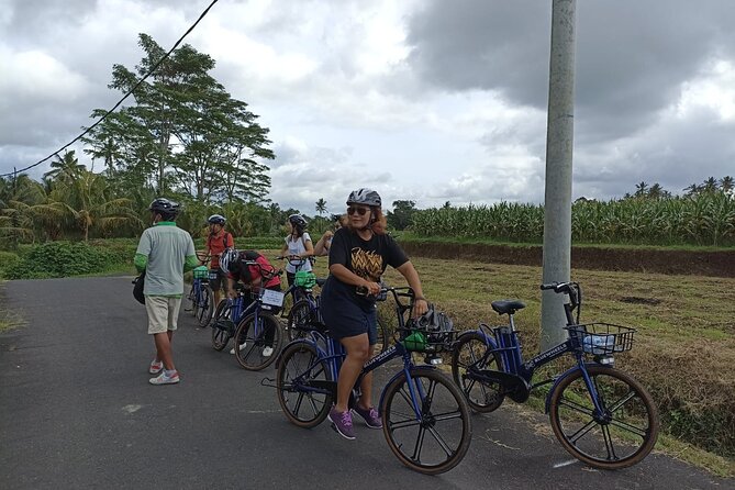 Electric Bicycle Tour in Quaint South Ubud - Customer Reviews