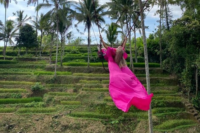 Electric Bike and Swing Package - Overview of the Electric Bike and Swing Package