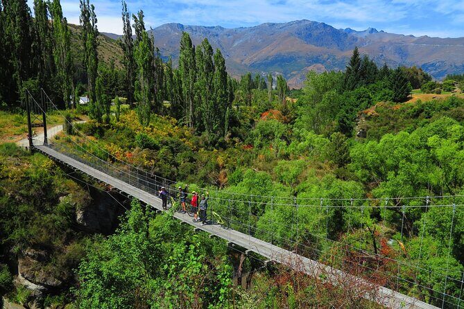 Electric Bike and Wine Tour Queenstown - What Makes This Tour Stand Out
