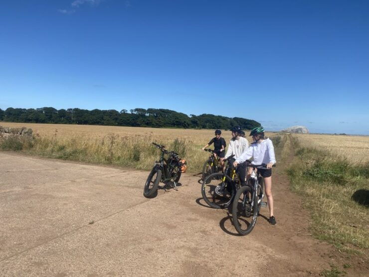 Electric Bike Foodie Guided Tour With Food Tasting - Booking Details