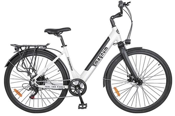 Electric Bike Rental for All Day - Rental Details