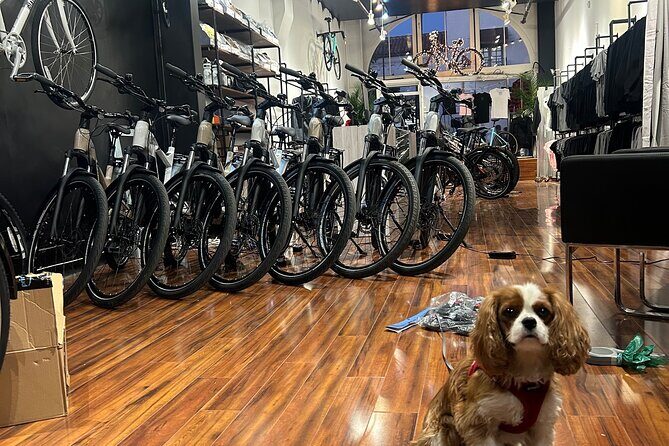 Electric Bike Rental in Santa Barbara - FAQ