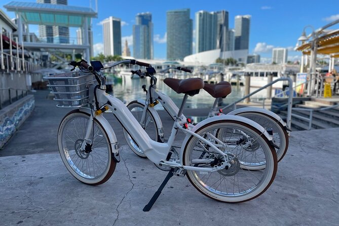 Electric Bike Rental Miami Beach - The Sum Up