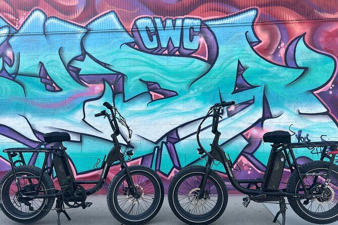 Electric Bike Rentals with Free E-Bike Delivery - Why Choose Electric Bike Rentals in Asheville?