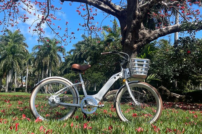Electric Bike Tour in South Beach - Important Information
