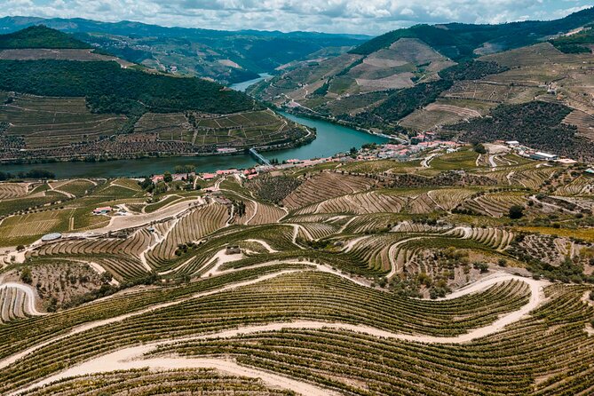 Electric Bike Tour Through the Douro Valley - Good To Know