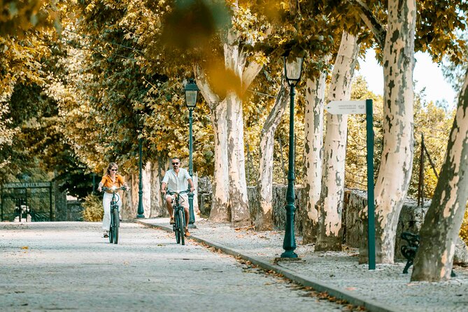 Electric Bike Tour Through the Douro Valley - Pricing and Booking