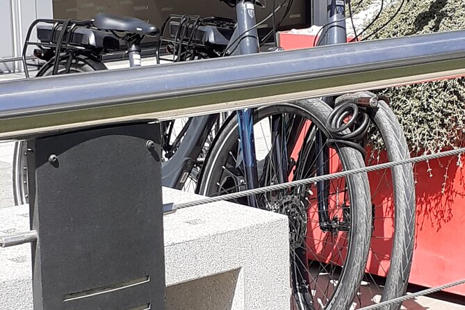 Electric City Bike Rental Tenerife - Experience Highlights