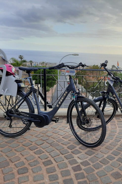Electric City Bike Rental With Hotel Delivery - Experience Highlights