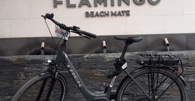 Electric City Bike Rental With Hotel Delivery - Bike Rental Details