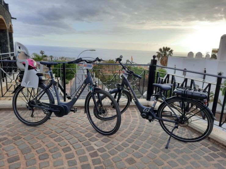 Electric City Bike Rental With Hotel Delivery - Rental Details